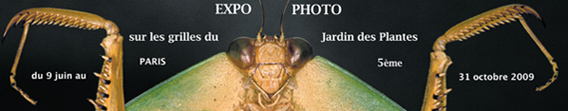 expo photo