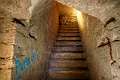 PBL_Araignees_2014_MG_8263
